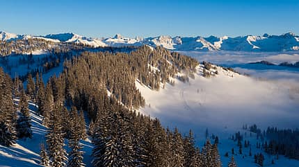 OD-Allgaeu-_BEN1204 (jpg) OD-Allgaeu-_BEN1204 (jpg)