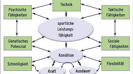KL Leistungsfaktoren beim Klettern KL Leistungsfaktoren beim Klettern
