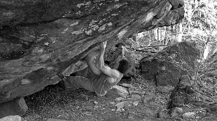 KL-Fred-Entlinge (jpg) KL-Fred-Entlinge (jpg)
