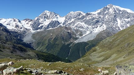 OD 2019 Südtirol Ortler Blick von der Düsseldorfer Hütte OD 2019 Südtirol Ortler Blick von der Düsseldorfer Hütte