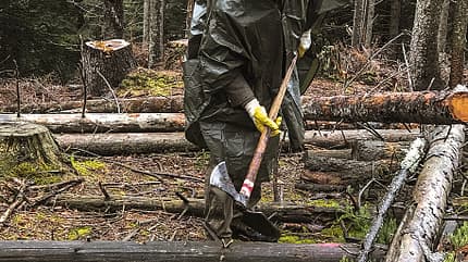 OD_0419_Green Friends_Lowa_5_1500 (jpg) OD_0419_Green Friends_Lowa_5_1500 (jpg)