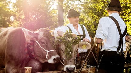OD 2018 Pfronten Allgäu Almabtrieb Viehscheid Tradition Fest Event