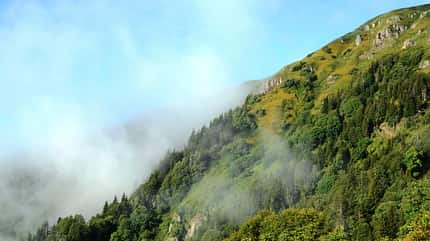 OD 2016 Georgien Borjomi Kharagauli Nationalpark OD 2016 Georgien Borjomi Kharagauli Nationalpark