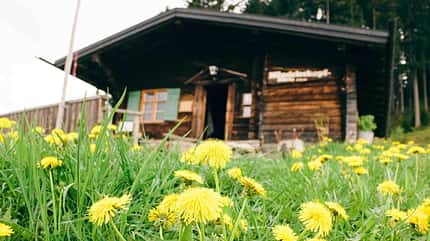 OD 2018 Hündeleskopfhütte Allgäu Pfronten vegetarische berghütte OD 2018 Hündeleskopfhütte Allgäu Pfronten vegetarische berghütte