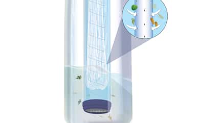 od-lifestraw-filter (jpg) od-lifestraw-filter (jpg)