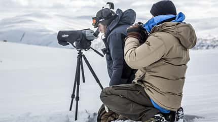 OD 2015 Fjällräven Polarfuchs Aktion Tiere OD 2015 Fjällräven Polarfuchs Aktion Tiere