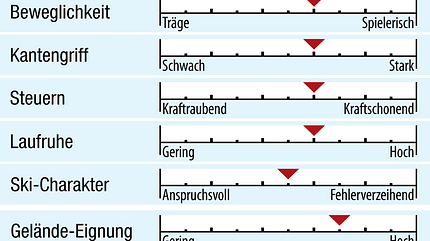 od-2018-allmountain-fahreigenschaften-faction-dictator-1-0 (jpg)