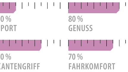od-2018-lady-genusscarver-grafik-dynastar-intense-8 (jpg)
