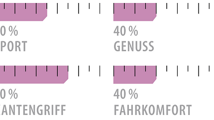 od-2018-lady-genusscarver-grafik-salomon-s-max-w6 (jpg) od-2018-lady-genusscarver-grafik-salomon-s-max-w6 (jpg)