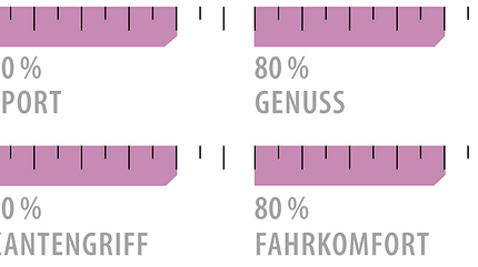 od-2018-lady-sportcarver-grafik-dynastar-intense-10 (jpg) od-2018-lady-sportcarver-grafik-dynastar-intense-10 (jpg)