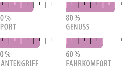 od-2018-lady-sportcarver-grafik-rossignol-famous-10 (jpg) od-2018-lady-sportcarver-grafik-rossignol-famous-10 (jpg)