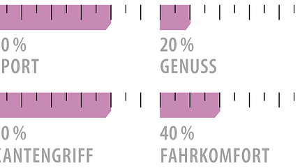 od-2018-lady-sportcarver-grafik-salomon-s-max-w-blast (jpg)
