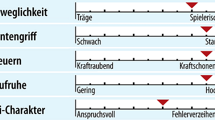 od-2018-slalomcarver-fahreigenschaft-nordica-dobermann-slr-rb-fdt (jpg) od-2018-slalomcarver-fahreigenschaft-nordica-dobermann-slr-rb-fdt (jpg)