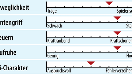 od-2018-slalomcarver-fahreigenschaft-salomon-s-race-rush (jpg)