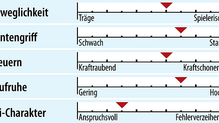od-2018-slalomcarver-fahreigenschaft-stoeckli-laser-cx (jpg) od-2018-slalomcarver-fahreigenschaft-stoeckli-laser-cx (jpg)