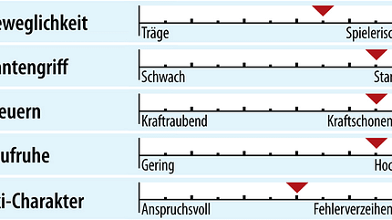 od-2018-racecarver-fahreigenschaft-nordica-dobermann-gsr-rb-fdt (jpg)
