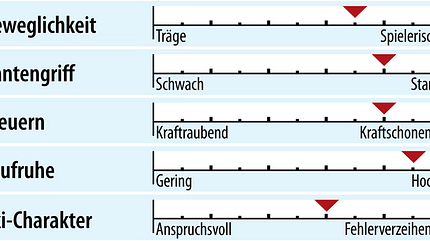 od-2018-racecarver-fahreigenschaft-salomon-s-race-pro (jpg) od-2018-racecarver-fahreigenschaft-salomon-s-race-pro (jpg)