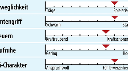 od-2018-slalomcarver-fahreigenschaft-kaestle-rx12-sl (jpg)