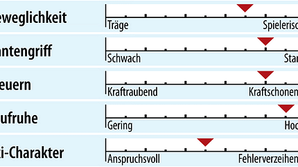 od-2018-racecarver-fahreigenschaft-blizzard-firebird-wrc (jpg)
