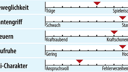 od-2018-racecarver-fahreigenschaft-head-ispeed (jpg) od-2018-racecarver-fahreigenschaft-head-ispeed (jpg)