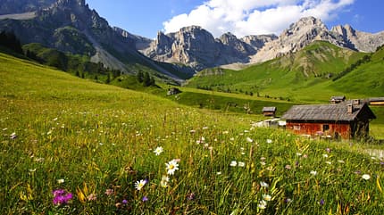 od-dolomiten-val_di_fassa_sommer_3 (jpg) od-dolomiten-val_di_fassa_sommer_3 (jpg)