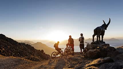 Od 052019 Sommer Bergerlebnisse Oberengadin Mountainbike Steinbock
