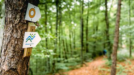 Wandern im Donautal Wandern im Donautal