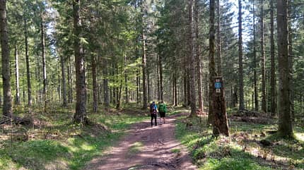 Westweg Wanderung 2019 Westweg Wanderung 2019