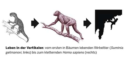 IRCRA Klettern Wissenschaft IRCRA Klettern Wissenschaft