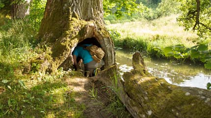 geocaching,nature,outdoor,geocache,cache,adventure,forest,search,gps,sport,hike,hobby,hide,find,active,activity,seek,container,discovery,wood,treasure,summer,leisure,caching,man,discover,looking,fun,tree,person,backpack,recreation,rural Geocaching, finding cache