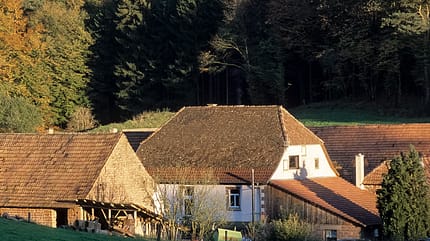 Klettern in der Pfalz