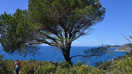 Wandern auf der Insel Elba Wandern auf der Insel Elba