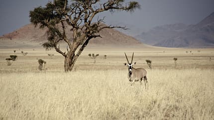 Outdoor-Abenteuer in Namibia Outdoor-Abenteuer in Namibia