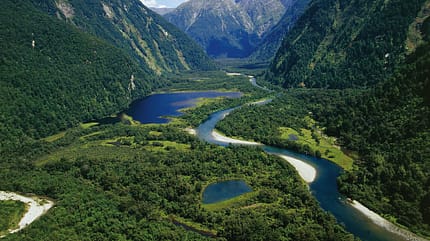beauty in nature,day,fiordland national park,forest,high angle v New Zealand, South Island, Te Wahipounamu, Fiordland National Park, Milford Track, river Arthur