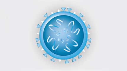 Schema eines Virus Schema eines Virus