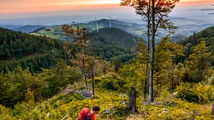 Wandern im Breisgau - Schwarzwald Wandern im Breisgau - Schwarzwald