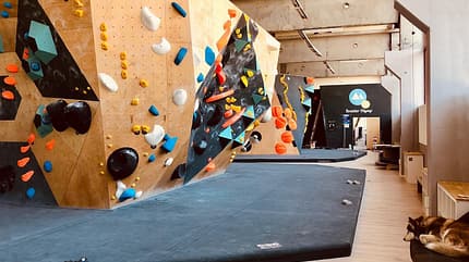 Boulder-Olymp, Boulderhalle Saarland Boulder-Olymp, Boulderhalle Saarland