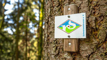 Schwarzwald Renchtalsteig Schwarzwald Renchtalsteig