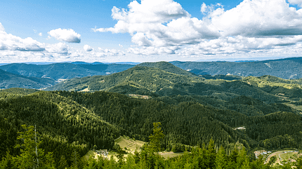 Schwarzwald Renchtalsteig Schwarzwald Renchtalsteig