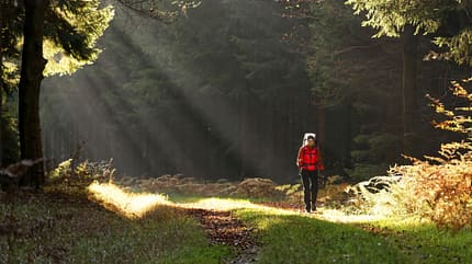 Elbsandsteingebirge - Forststeig - Wandern Elbsandsteingebirge - Forststeig - Wandern