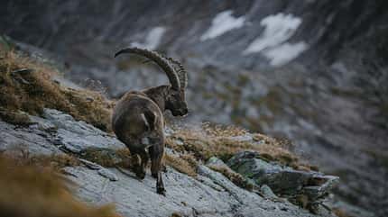 Tessin Fotoworkshop 2020 Tessin Fotoworkshop 2020