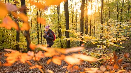 Hohes Venn,Outdoor,Schmidt,Wandern,Wanderung Wilde Wege rund um Monschau in der Eifel