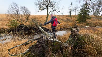 Wandern in der Eifel - rund um Monschau Wandern in der Eifel - rund um Monschau