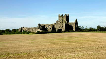 Dunbrody Abbey, Irland Dunbrody Abbey, Irland