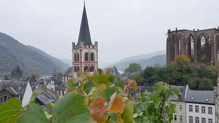 Weinwandern auf dem Rheinburgenweg - Bacharach Weinwandern auf dem Rheinburgenweg - Bacharach