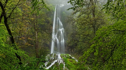 Bad Urach, Wald, Outdoor, Regen, Landschaften, Natur, Orte, Schw Wanderweg Albsteig, Schwäbische Alb