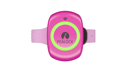 Smart-Lock Pealock Smart-Lock Pealock