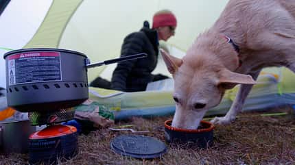 Futter,Fü,ttern,Im Zelt,Jotunheimen,Katleen,Kocher,Perla Wandern mit Hund, Tourenplanung und Ausrüstung