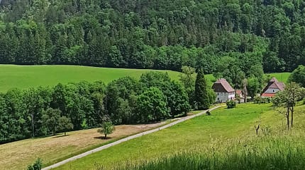 Albstadt - Schwäbische Alb - Felsenmeersteig Albstadt - Schwäbische Alb - Felsenmeersteig
