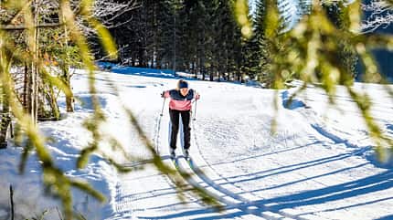 Bayern Online-Special: Allgäuer Alpen Bayern Online-Special: Allgäuer Alpen